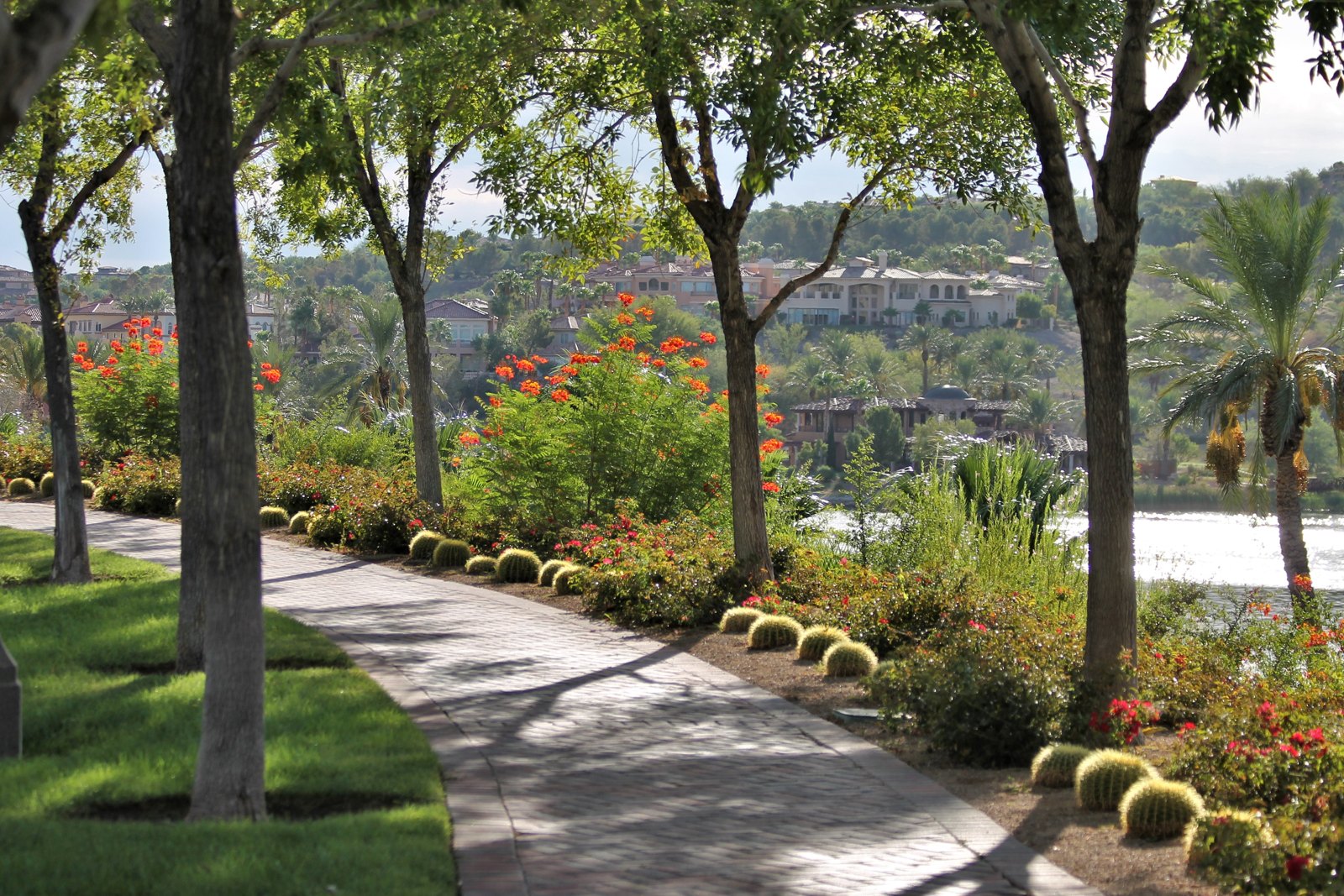 A walking path at Lake Las Vegas · Henderson